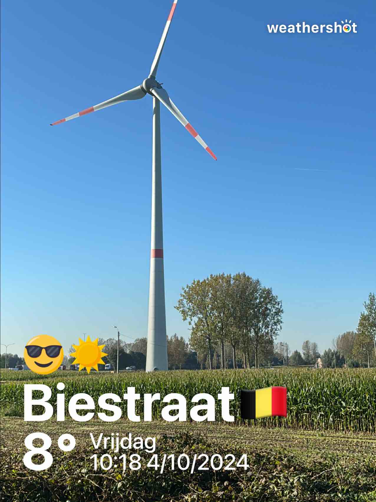 Clear weather in Beveren, 8°C — October 4, 2024 (community photo)