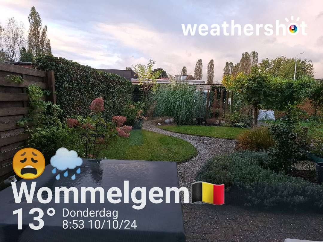 Rainy weather in Wommelgem, 13°C — October 10, 2024 (community photo)