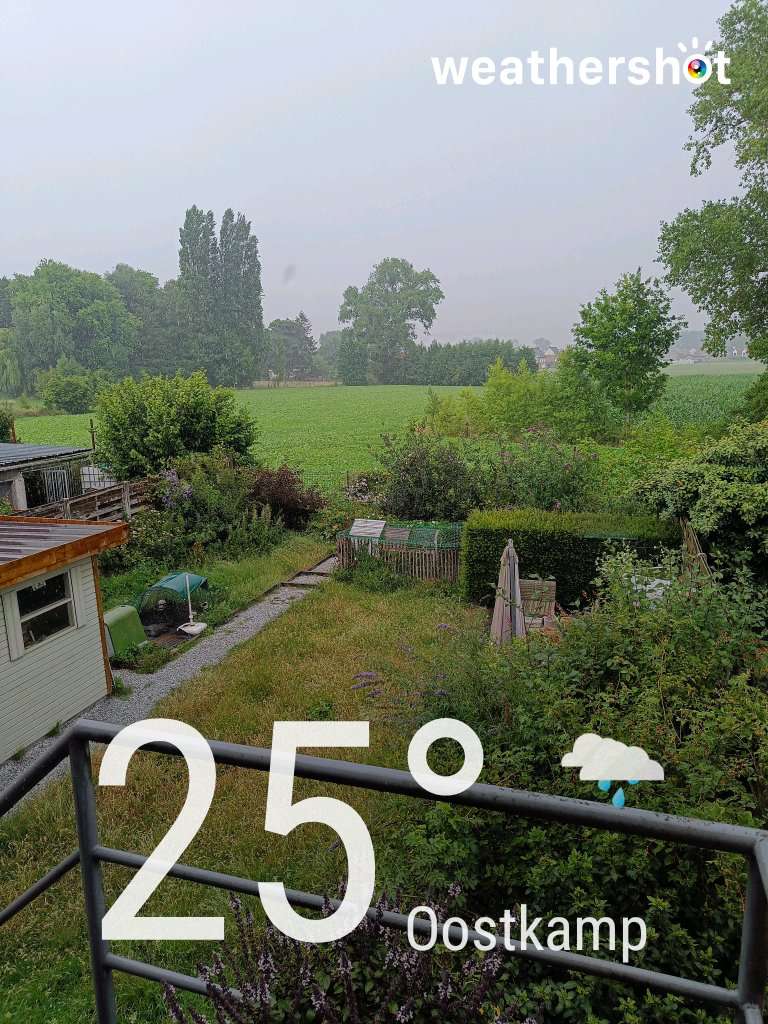 Rainy weather in Oostkamp, 25°C — July 2, 2025 (community photo)