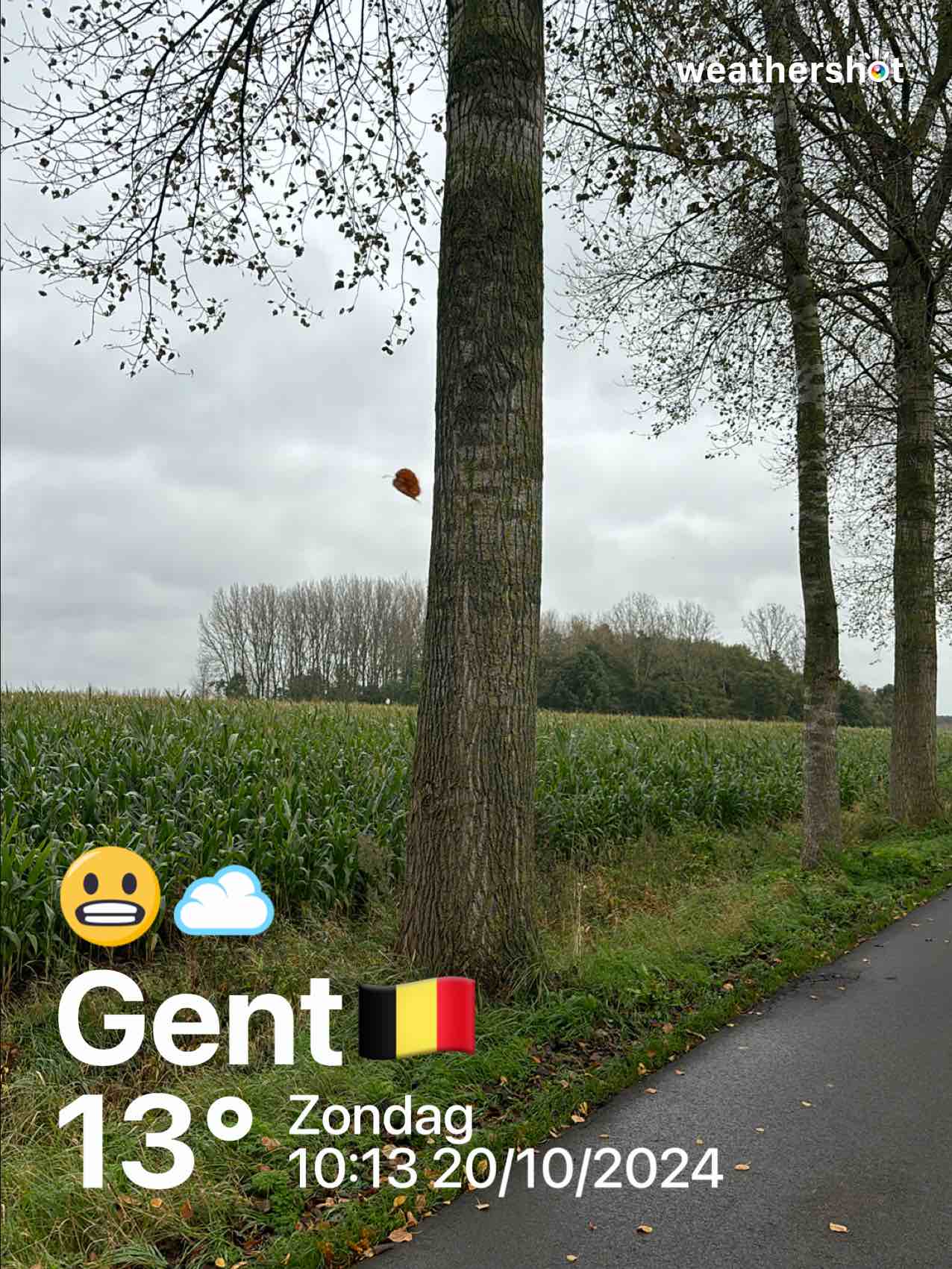 Cloudy weather in Gent, 13°C — October 20, 2024 (community photo)