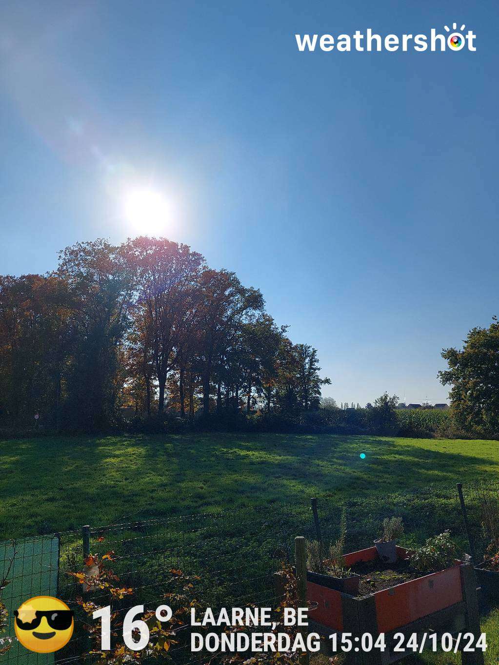 Sunny weather in Laarne, 16°C — October 24, 2024 (community photo)