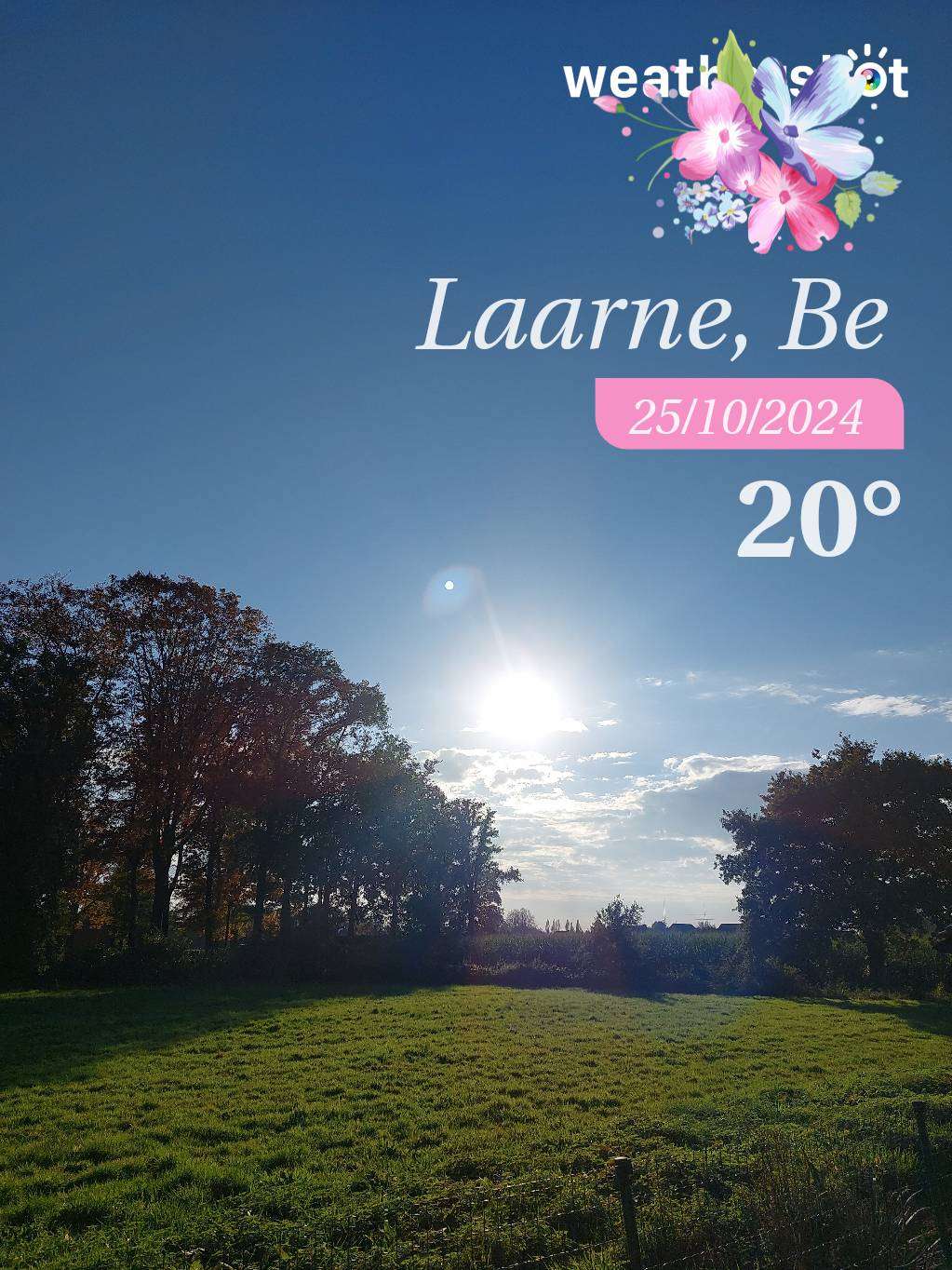 Sunny weather in Laarne, 20°C — October 25, 2024 (community photo)