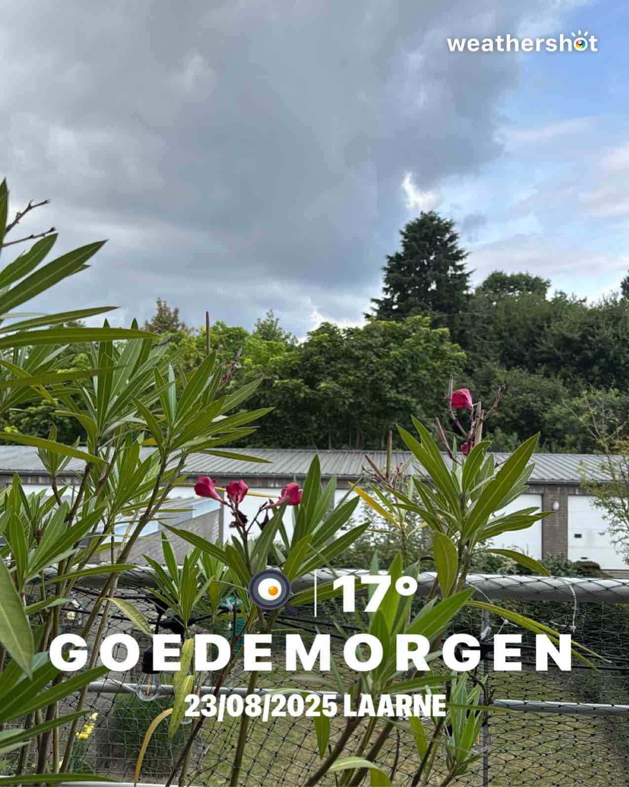 Cloudy weather in Laarne, 17°C — August 23, 2025 (community photo)