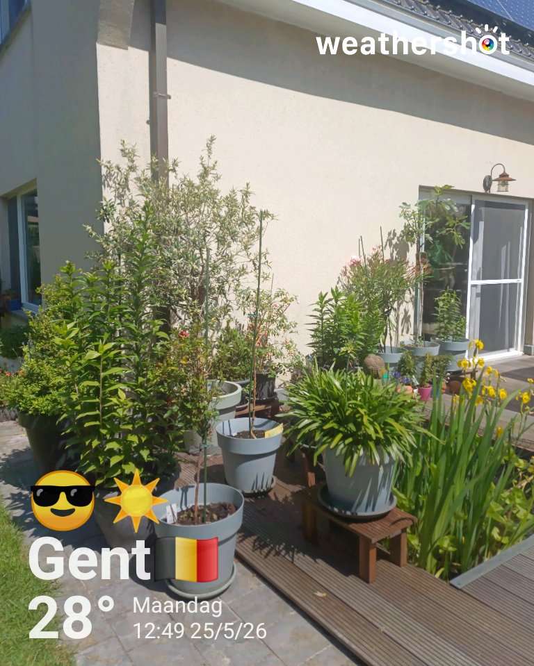 Sunny weather in Gent, 28°C — May 25, 2026 (community photo)