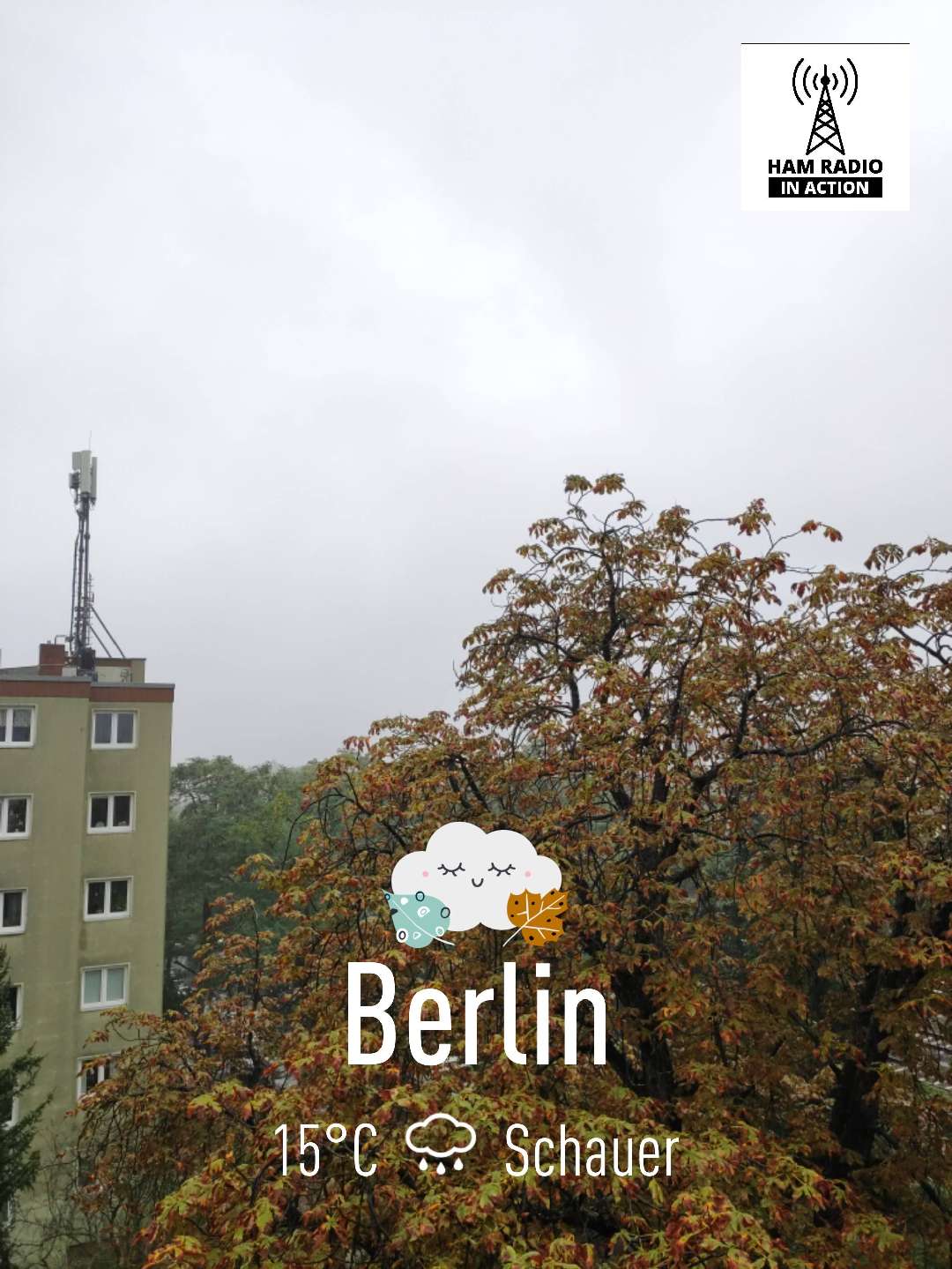 Rainy weather near Berlin, 15°C — September 29, 2021 (community photo)