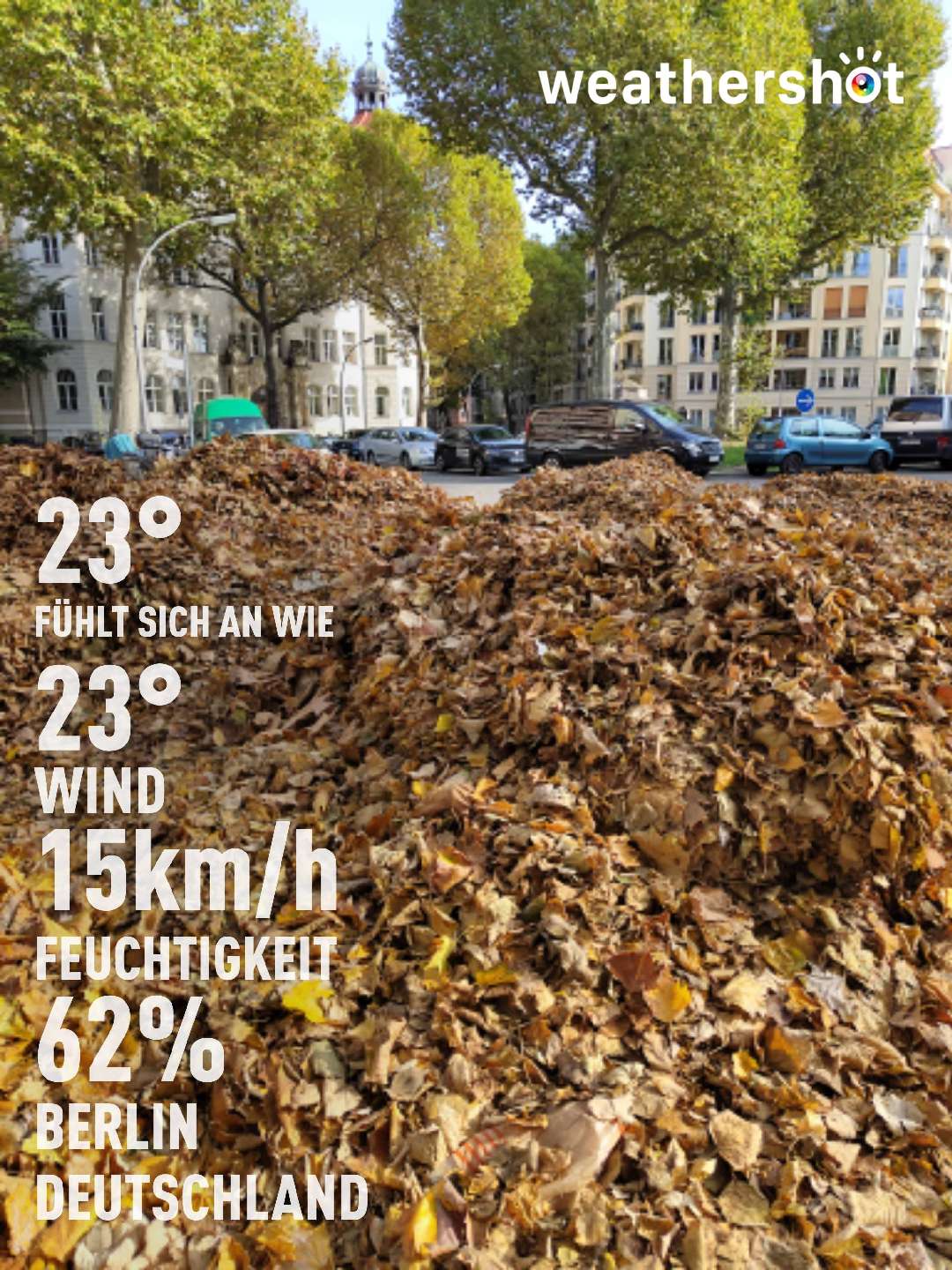 Sunny weather near Berlin, 23°C — October 17, 2022 (community photo)