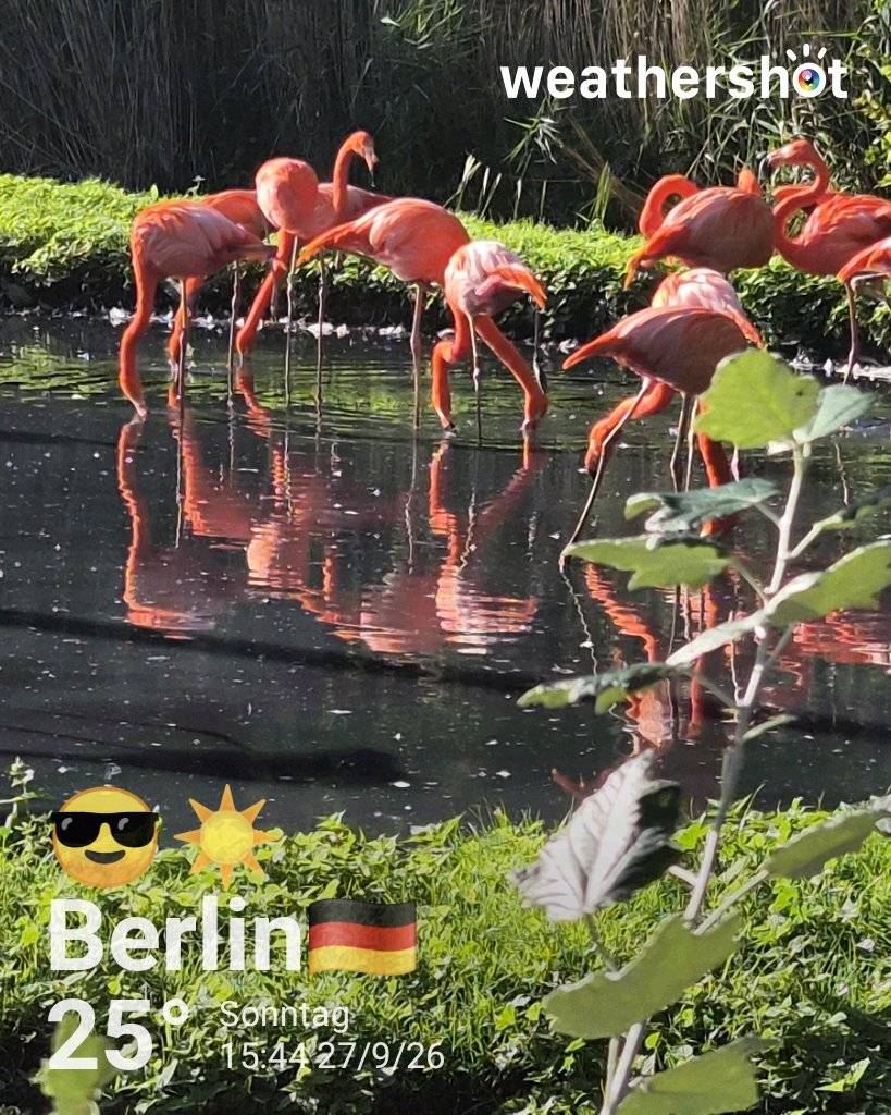Sunny weather near Berlin, 24°C — September 27, 2026 (community photo)