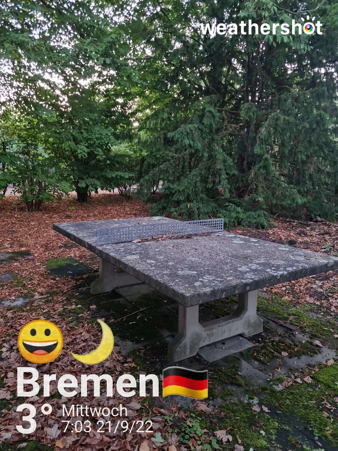 Clear night weather near Bremen, 3°C — September 21, 2022 (community photo)