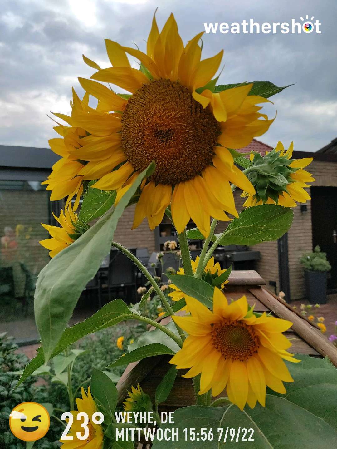 Cloudy weather in Weyhe, 23°C — September 7, 2022 (community photo)