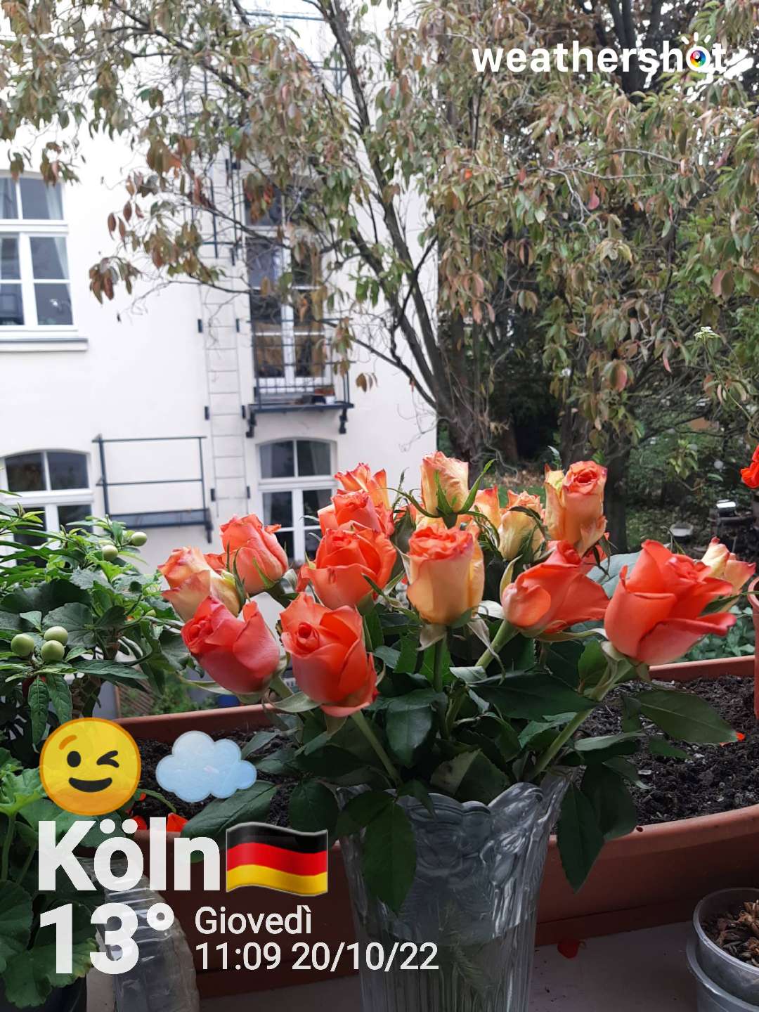 Cloudy weather in Köln, 13°C — October 20, 2022 (community photo)