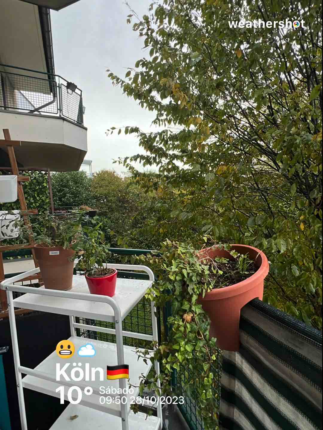 Wetter in Köln: bewölkt, 10°C – 28. Oktober 2023 (Community-Foto)