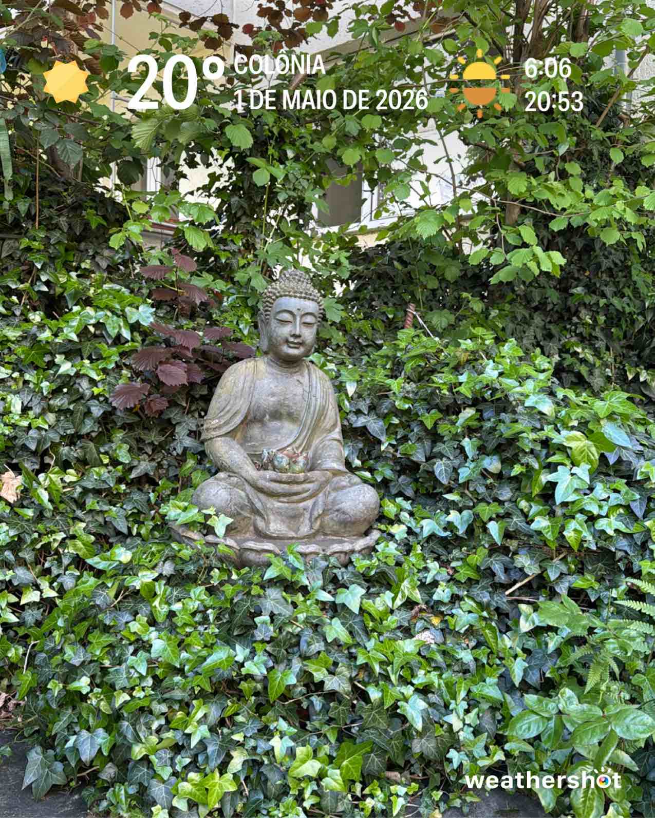 Clear weather in Köln, 20°C — May 1, 2026 (community photo)