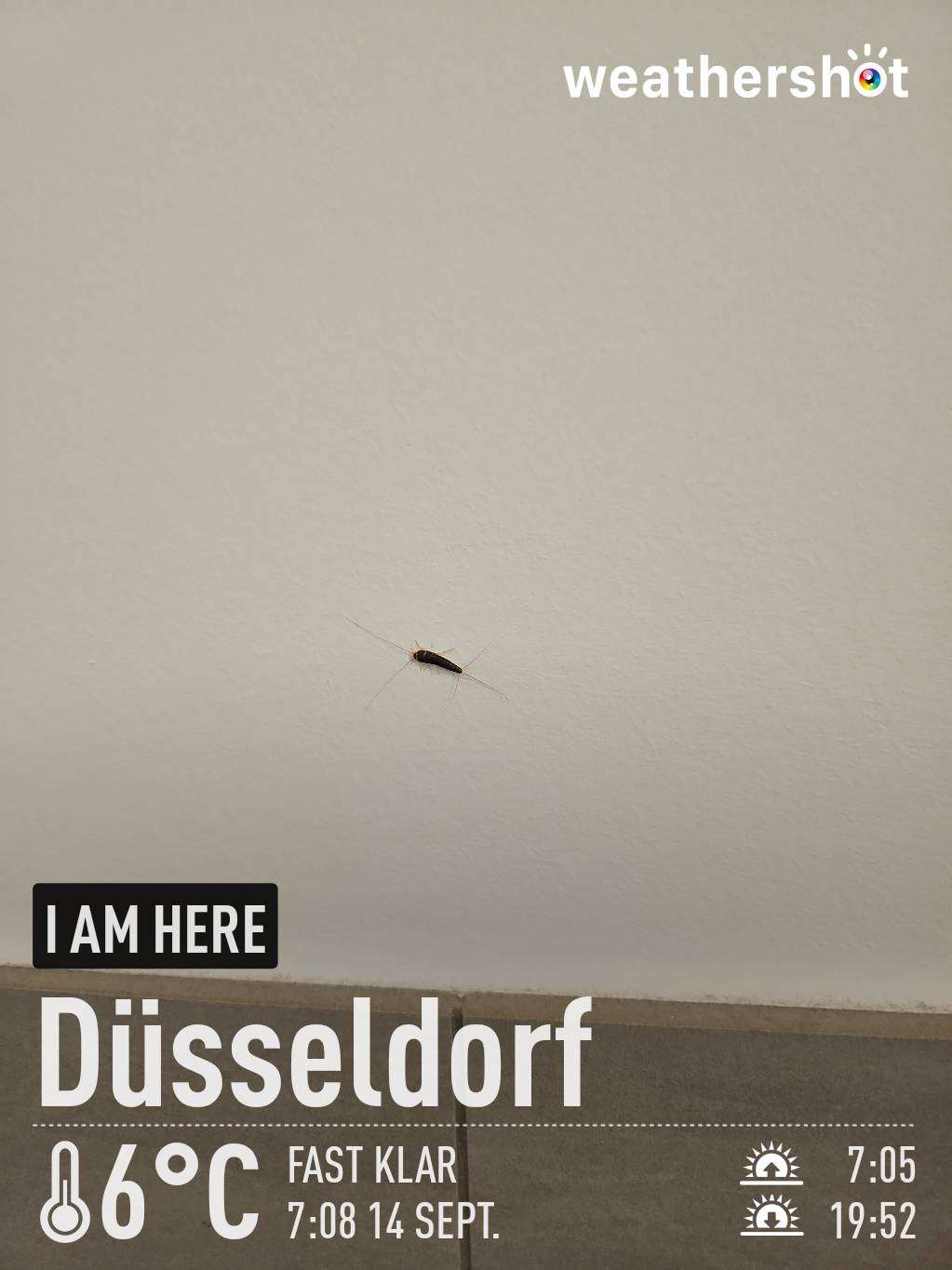 Wetter in Düsseldorf: klar, 6°C – 14. September 2024 (Community-Foto)