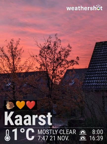 Clear night weather in Kaarst, 1°C — November 22, 2024 (community photo)