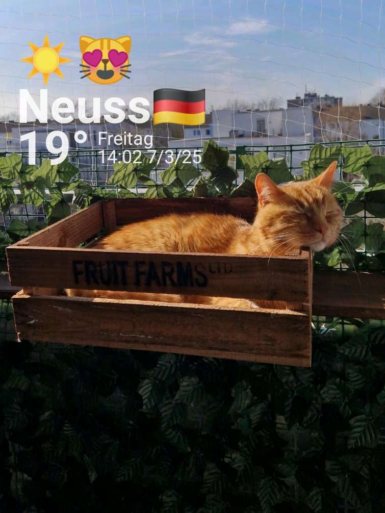 Wetter in Neuss – 7. März 2025 (Community-Foto)