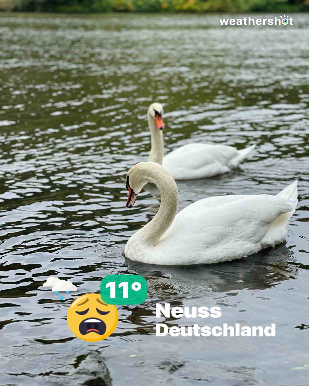 Rainy weather in Neuss, 11°C — October 25, 2025 (community photo)