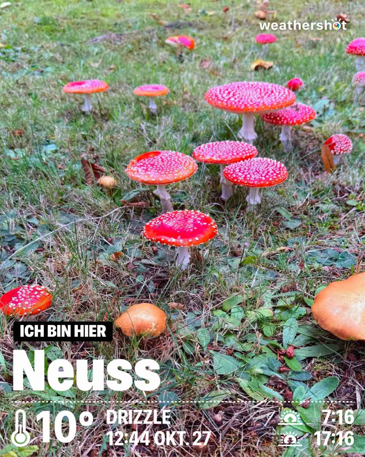 Wetter in Neuss: regnerisch, 10°C – 27. Oktober 2025 (Community-Foto)