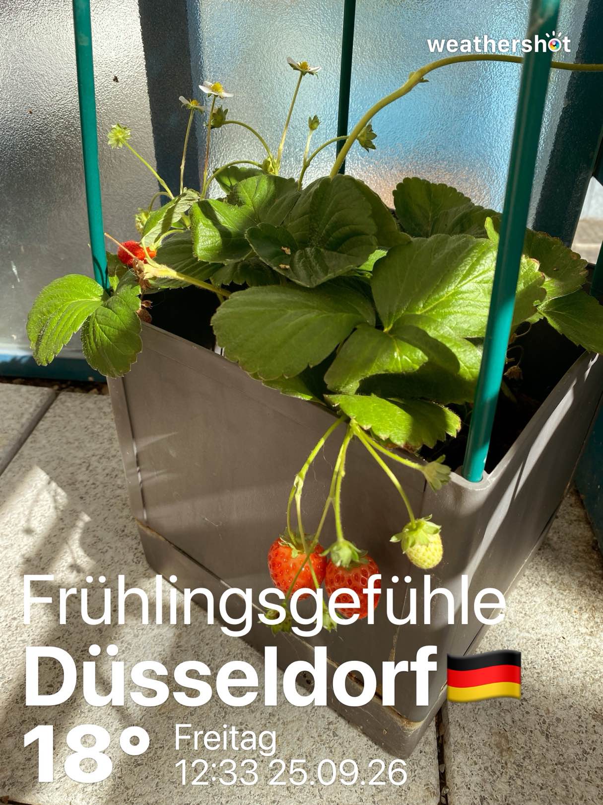 Weather in Düsseldorf, Nordrhein-Westfalen, 18°C — September 25, 2026 (community photo)