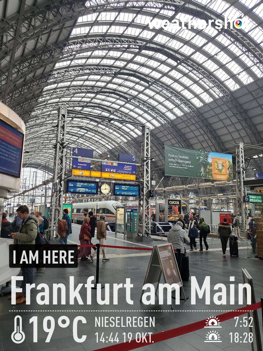 Rainy weather in Frankfurt am Main, 19°C — October 19, 2023 (community photo)
