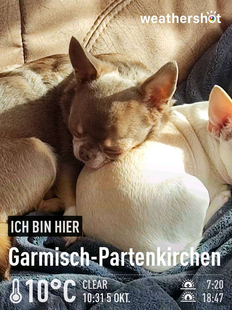 Clear weather in Garmisch-Partenkirchen, 10°C — October 8, 2022 (community photo)