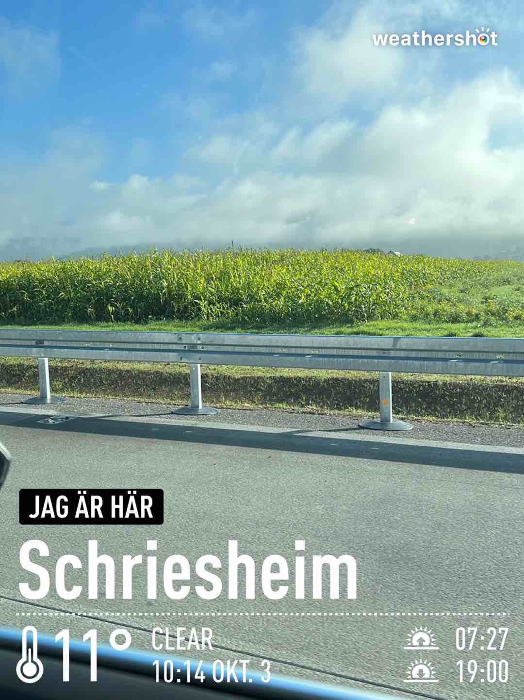 Weather in Schriesheim, 11°C — October 3, 2022 (community photo)