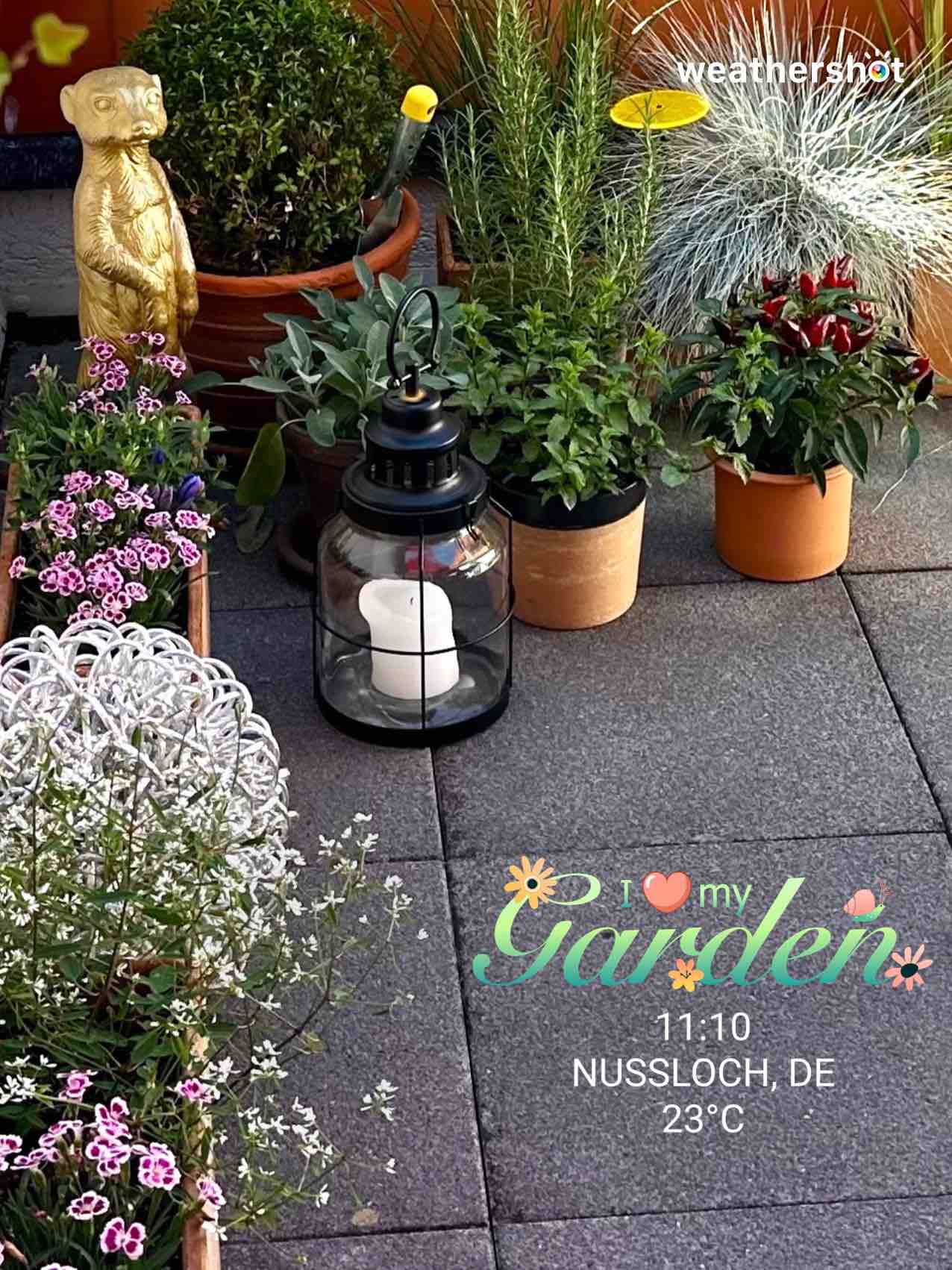 Wetter in Nußloch: klar, 23°C – 27. August 2024 (Community-Foto)