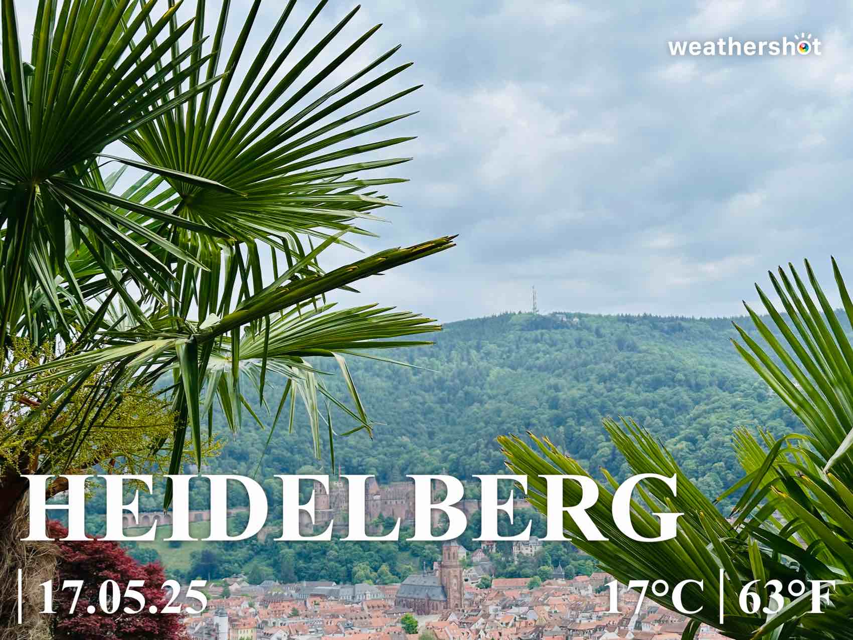 Weather in Heidelberg, 17°C — May 17, 2025 (community photo)