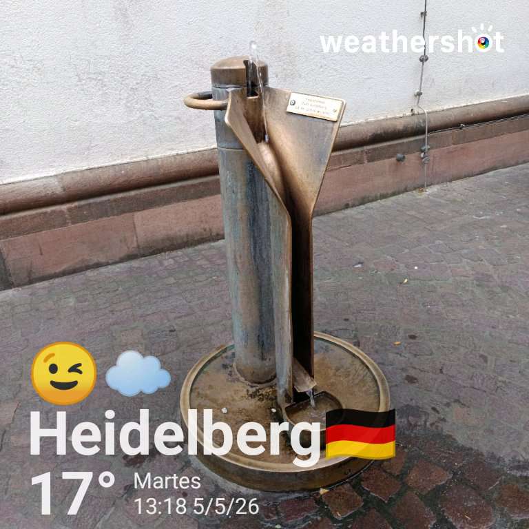 Cloudy night weather in Heidelberg, 17°C — May 5, 2026 (community photo)