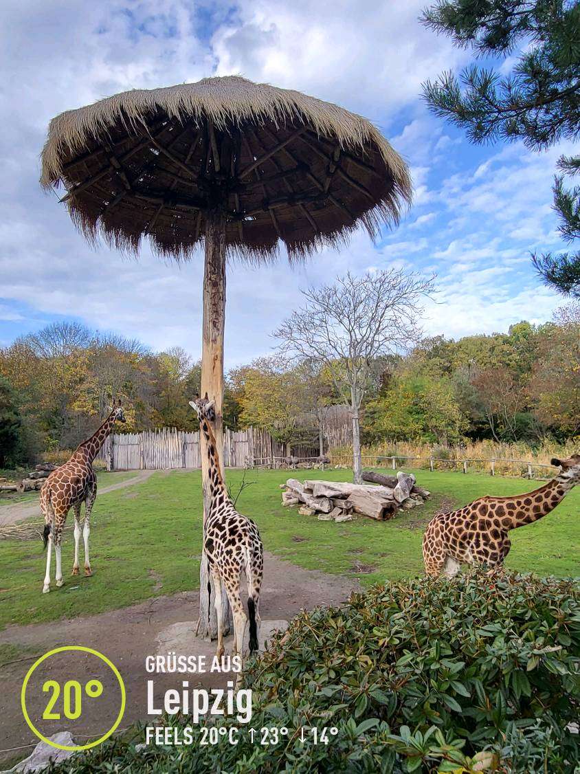 Partly cloudy weather in Leipzig, 20°C — October 28, 2022 (community photo)