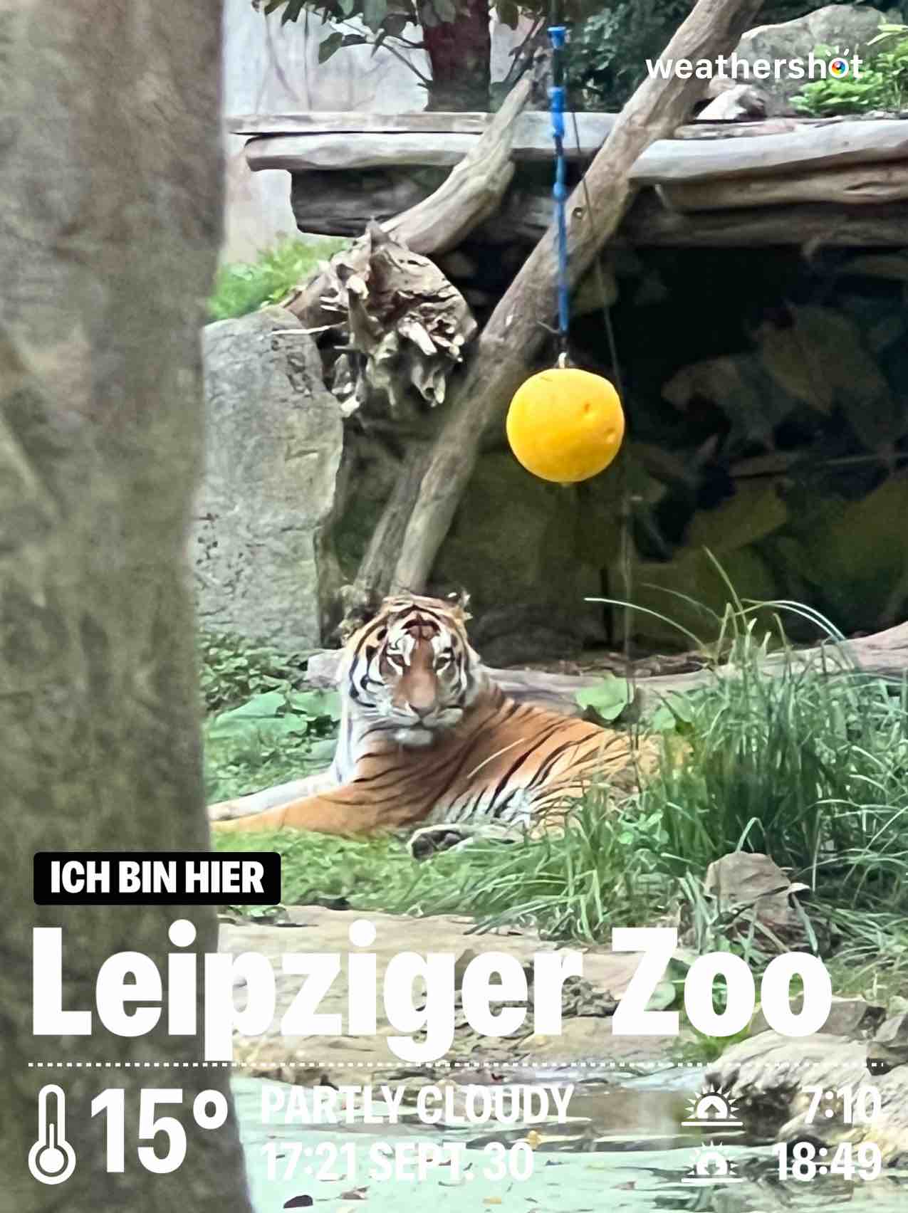 Partly cloudy weather in Leipzig, 15°C — September 30, 2024 (community photo)