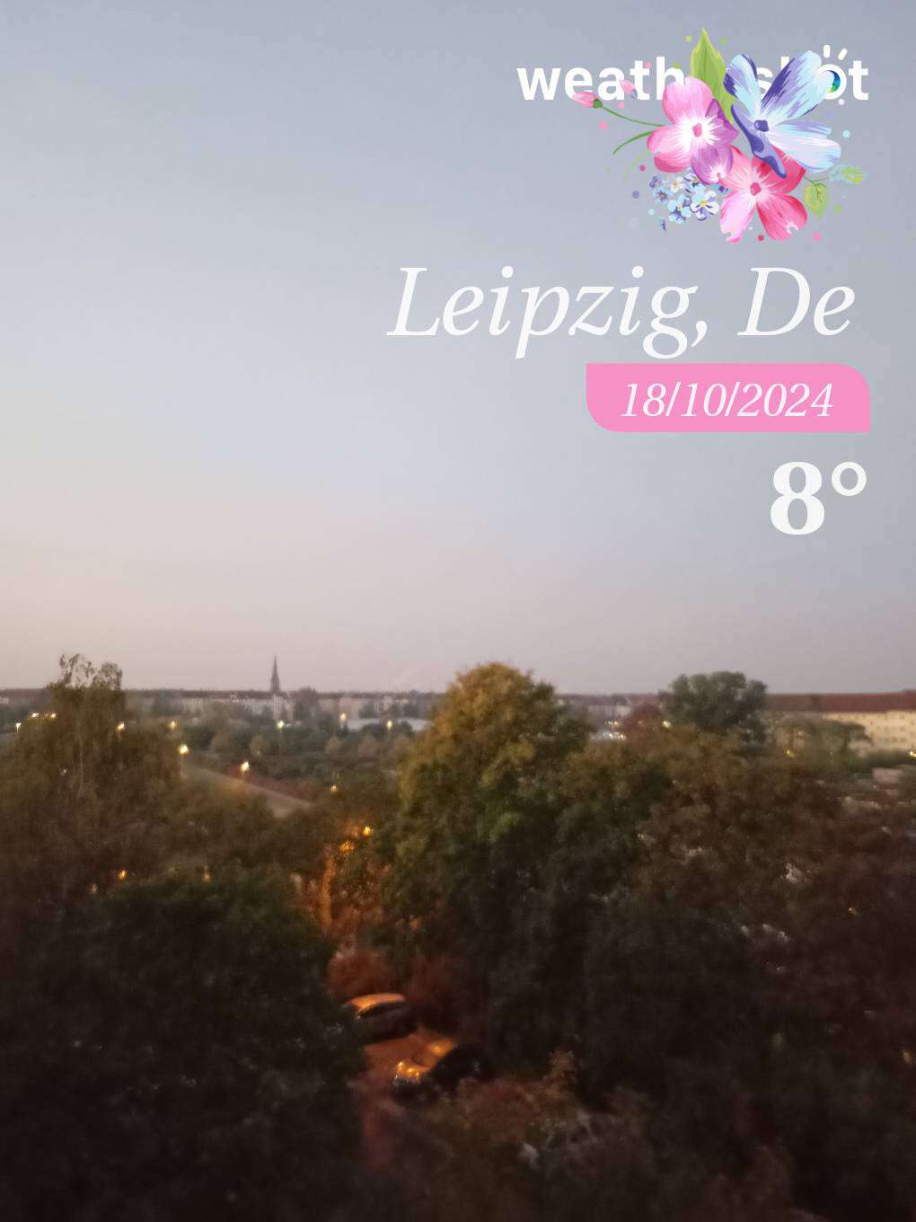 Weather in Leipzig, 8°C — October 18, 2024 (community photo)