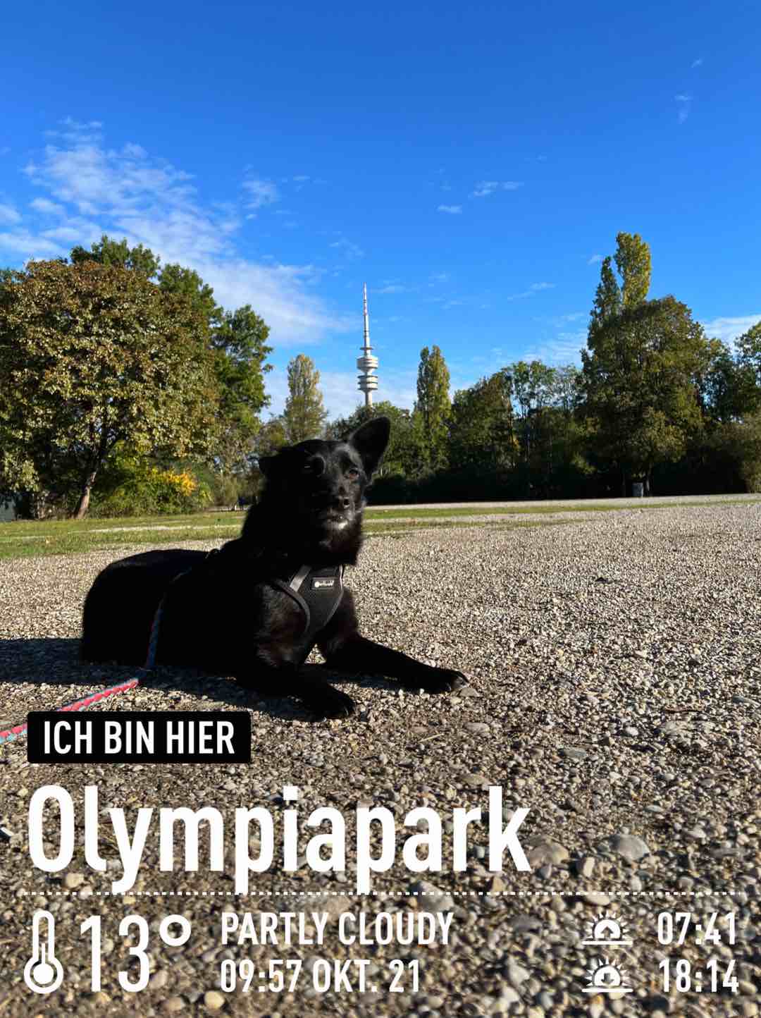 Partly cloudy weather in München, 13°C — October 21, 2023 (community photo)