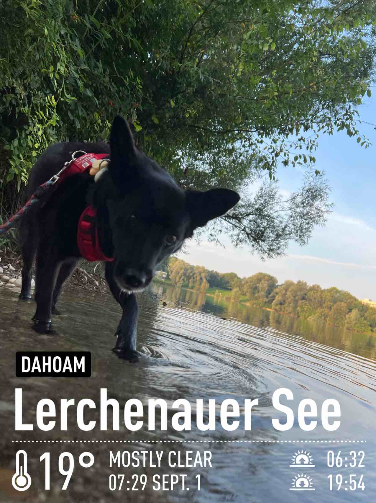 Weather in München, 19°C — September 1, 2024 (community photo)