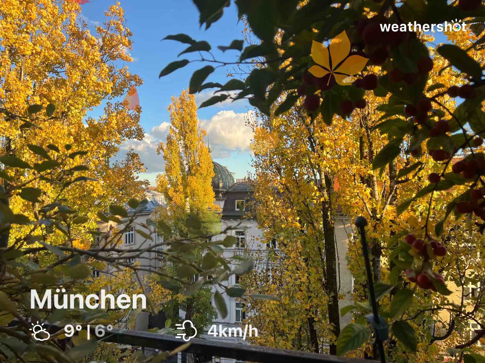 Wetter in München: teils bewölkt, 8°C – 24. Oktober 2025 (Community-Foto)