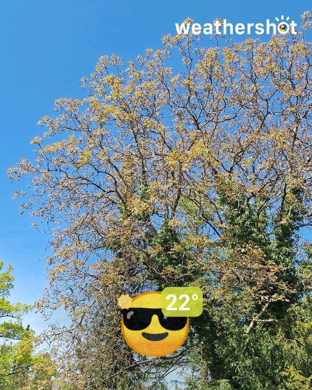 Clear night weather in München, 22°C — May 2, 2026 (community photo)