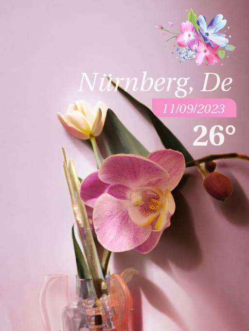 Weather in Nürnberg, 18°C — September 11, 2023 (community photo)