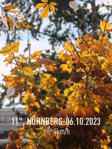 Clear night weather in Nürnberg, 11°C — October 6, 2023 (community photo)