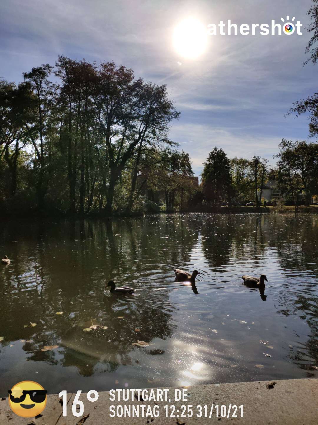 Clear weather in Stuttgart, 16°C — October 31, 2021 (community photo)