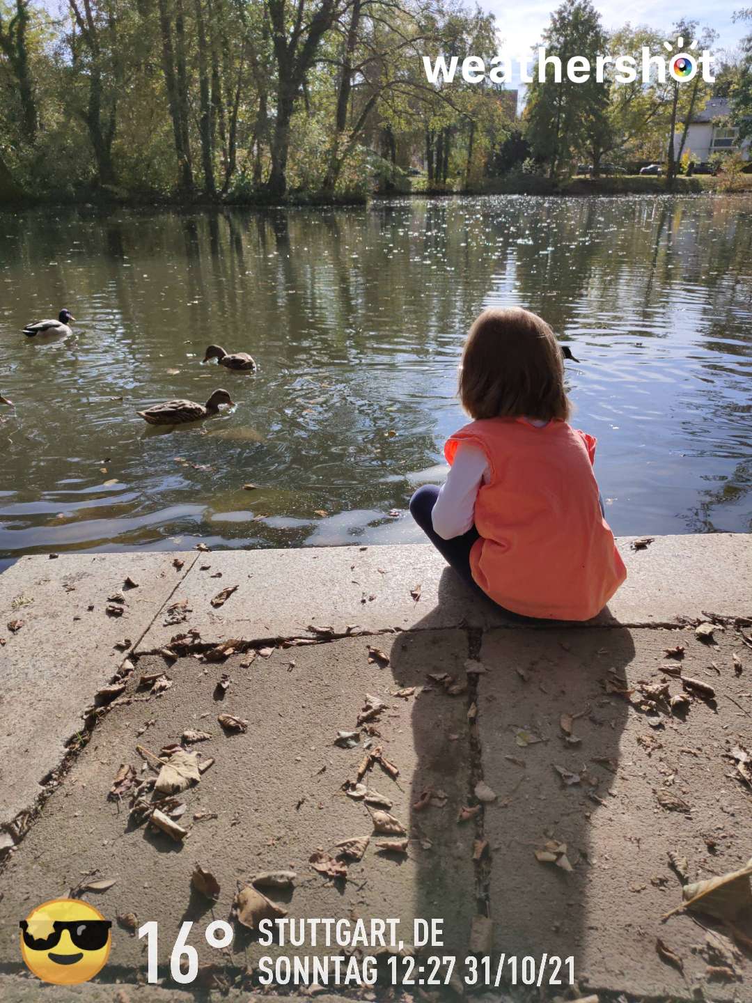 Wetter in Stuttgart: klar, 16°C – 31. Oktober 2021 (Community-Foto)