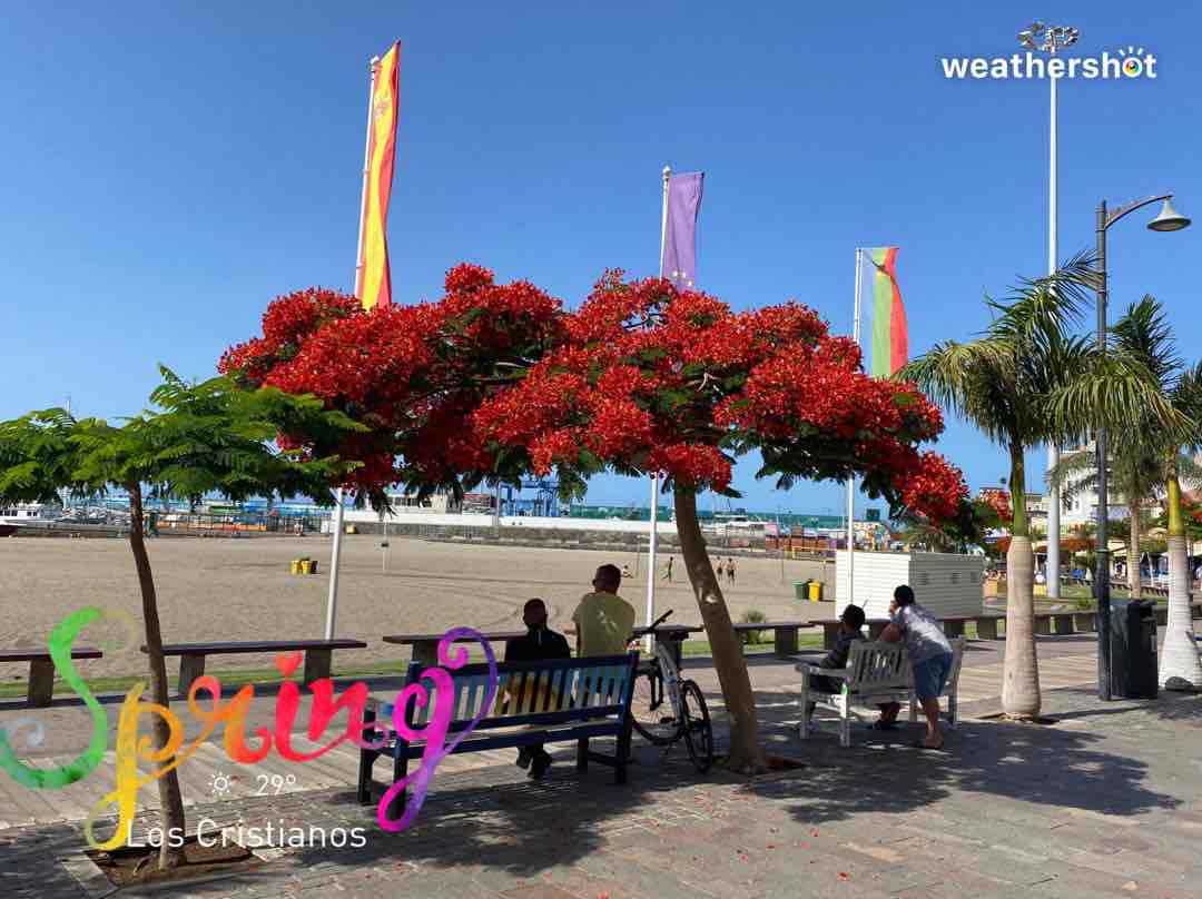 Weathershot photo, Arona, Tenerife, May 2021, 25 °C