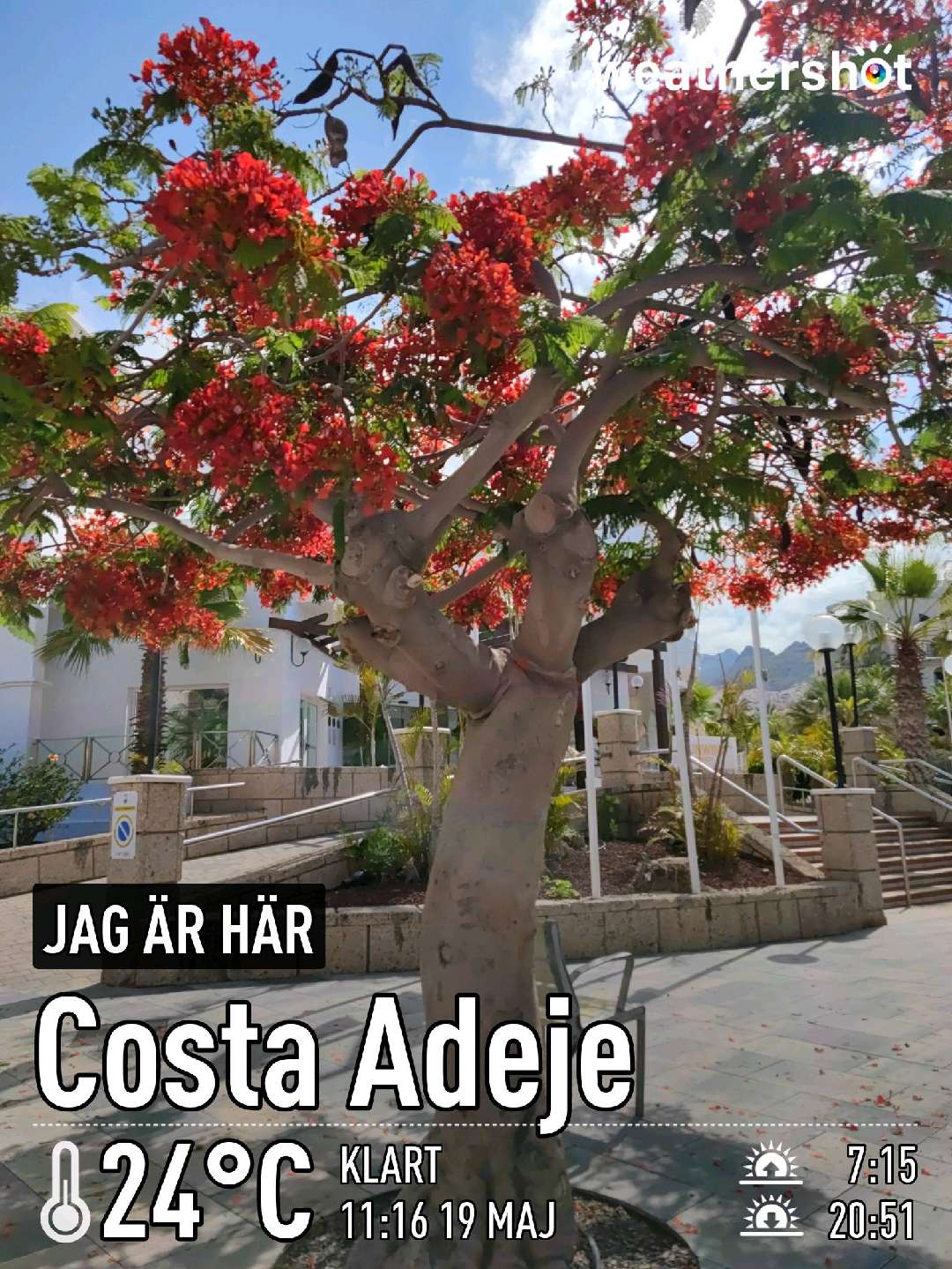 Weathershot photo, Costa Adeje, Tenerife, May 2022, 24 °C