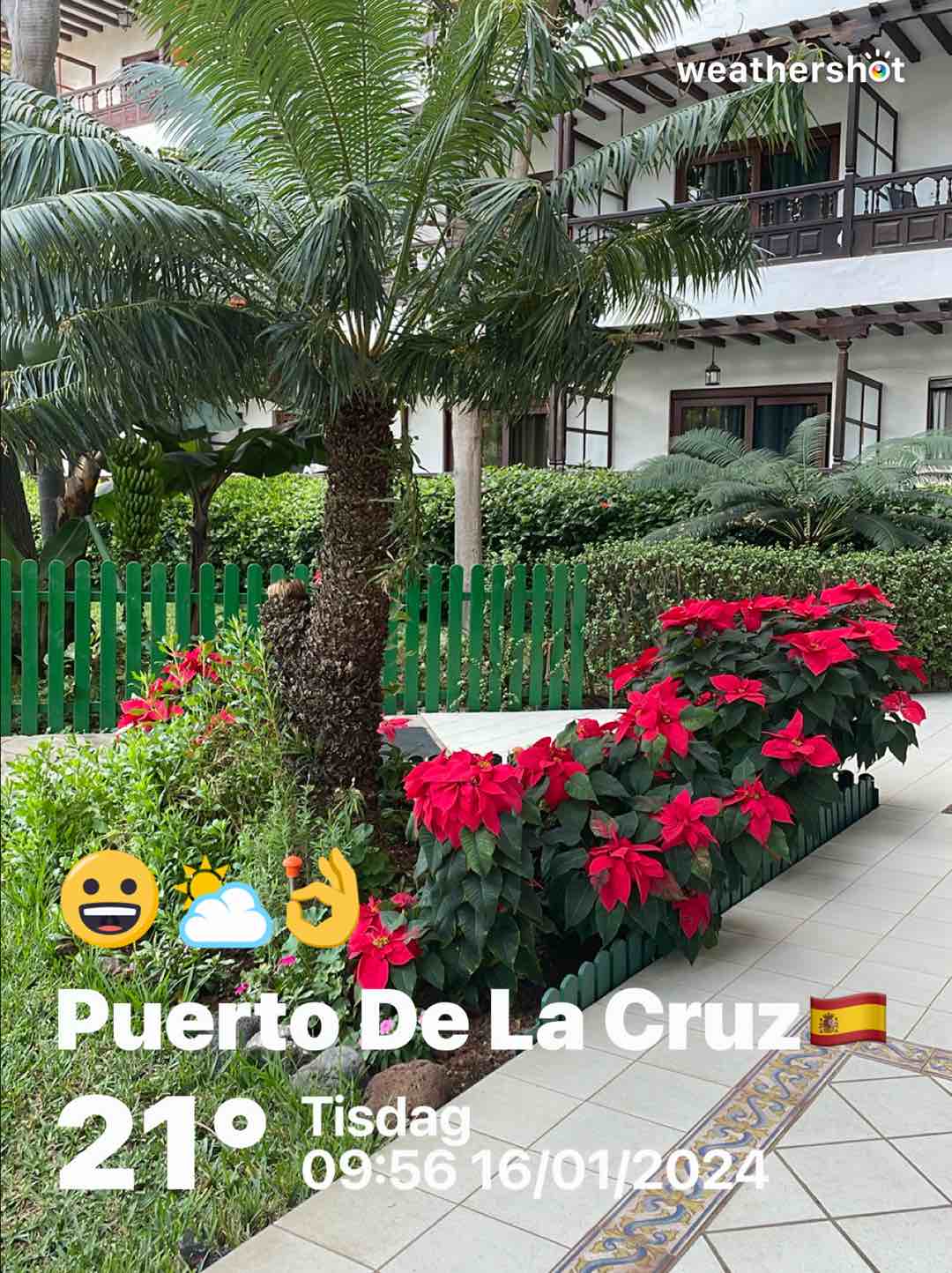 Weathershot photo, La Paz, Tenerife, January 2024, 21 °C