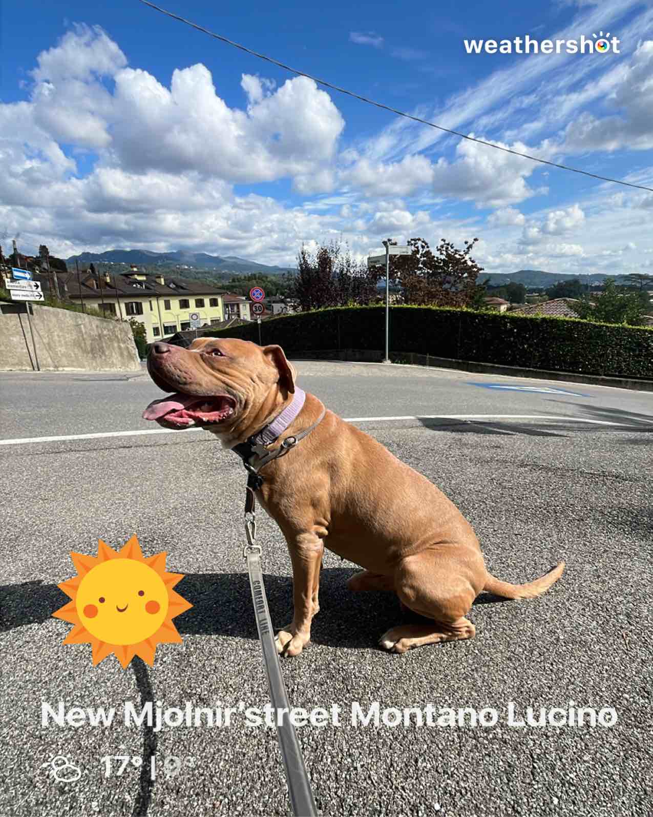 Weather in Lucino, 16°C — September 25, 2025 (community photo)