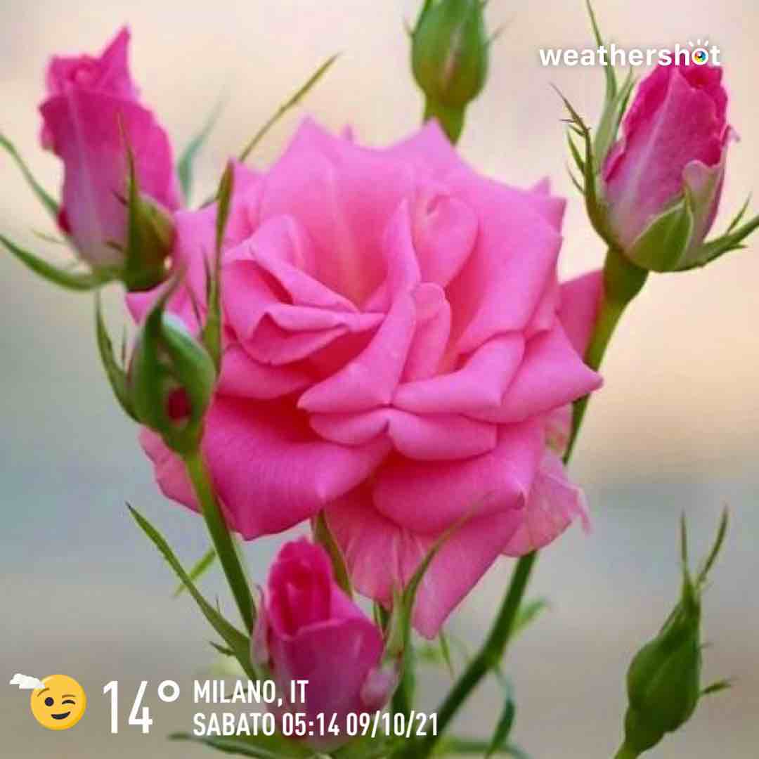 Cloudy weather in Milano, 14°C — October 9, 2021 (community photo)