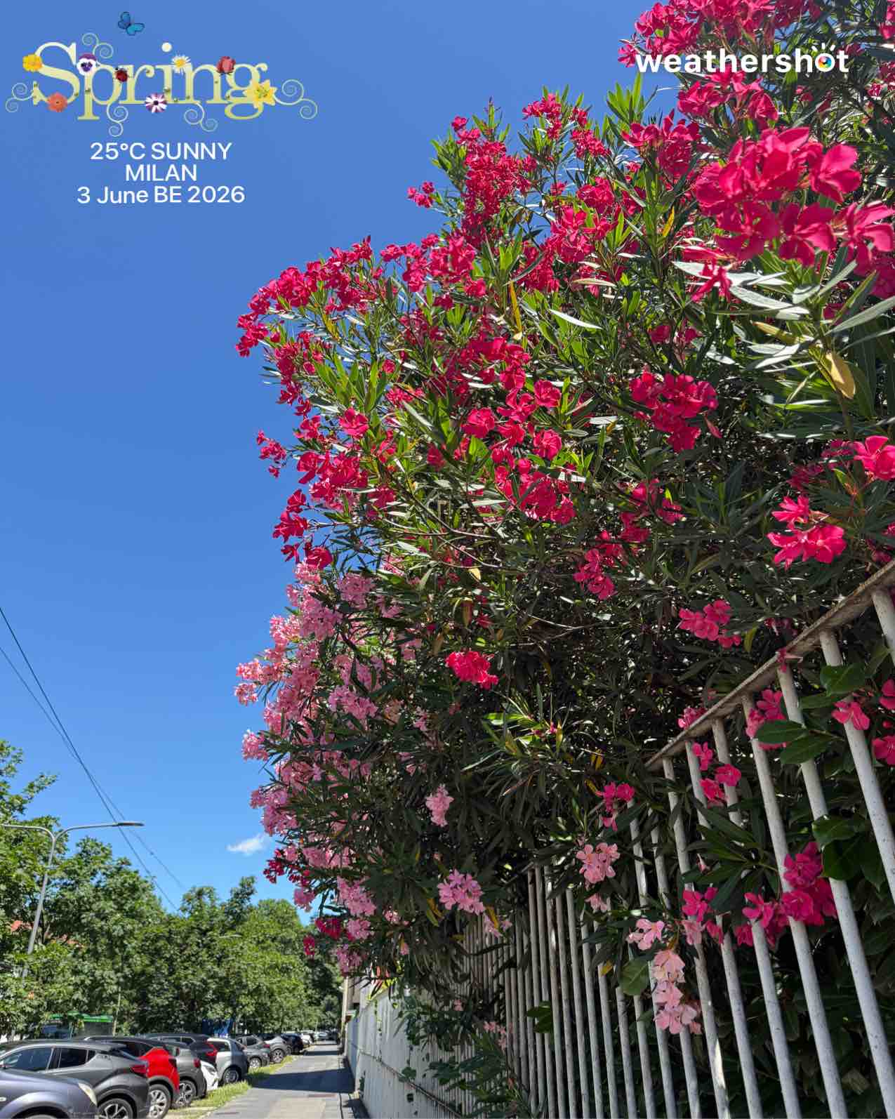 Weather in Milano, 25°C — June 3, 2026 (community photo)