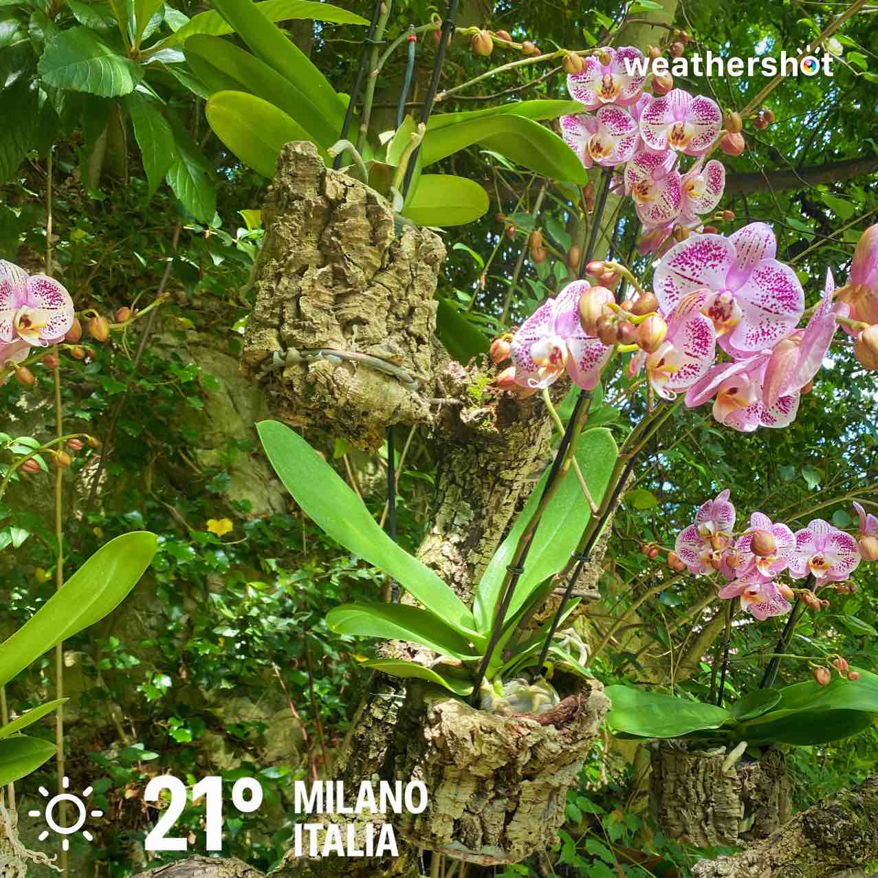 Clear weather in Milano, 21°C — September 3, 2026 (community photo)