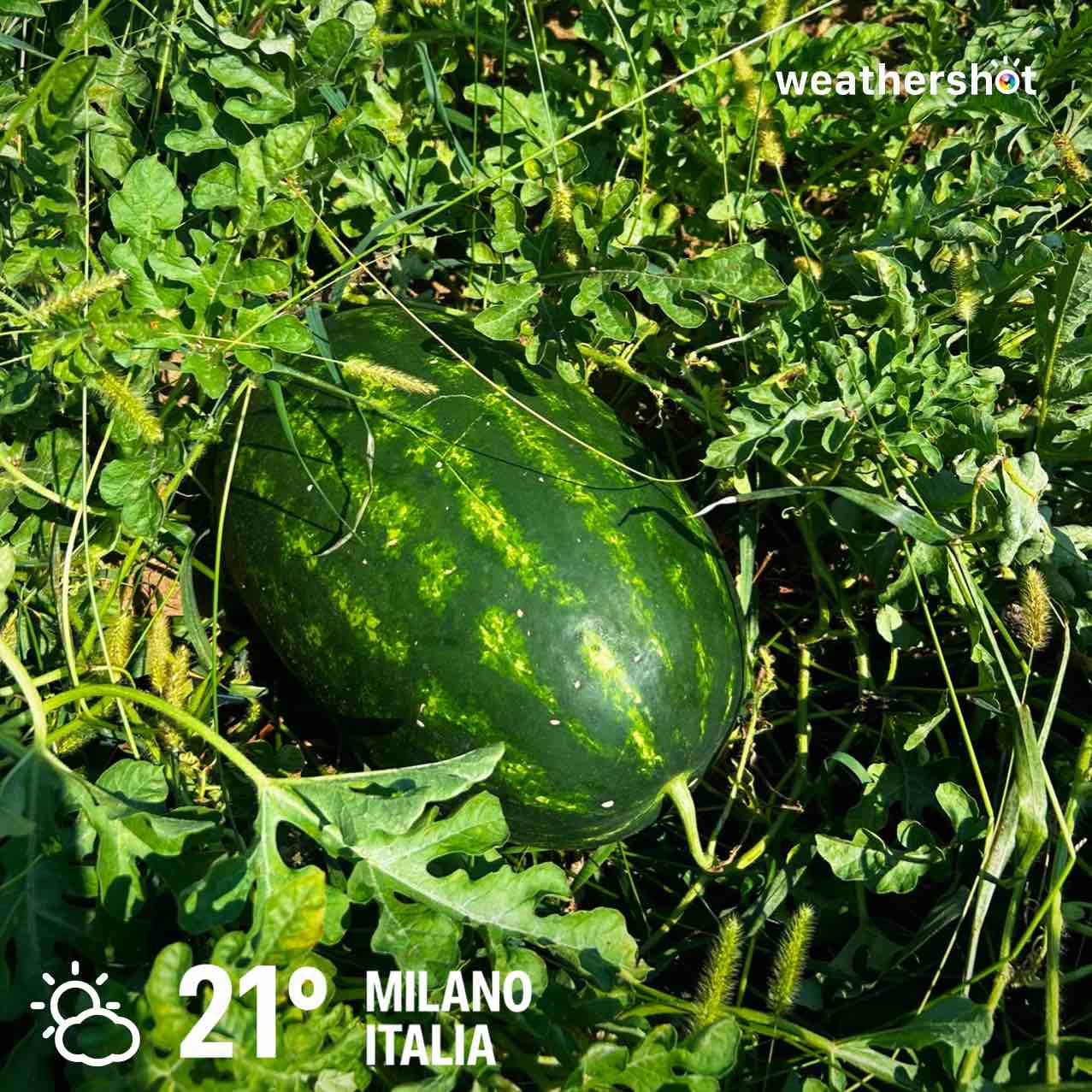 Partly cloudy weather in Milano, 21°C — September 2, 2026 (community photo)