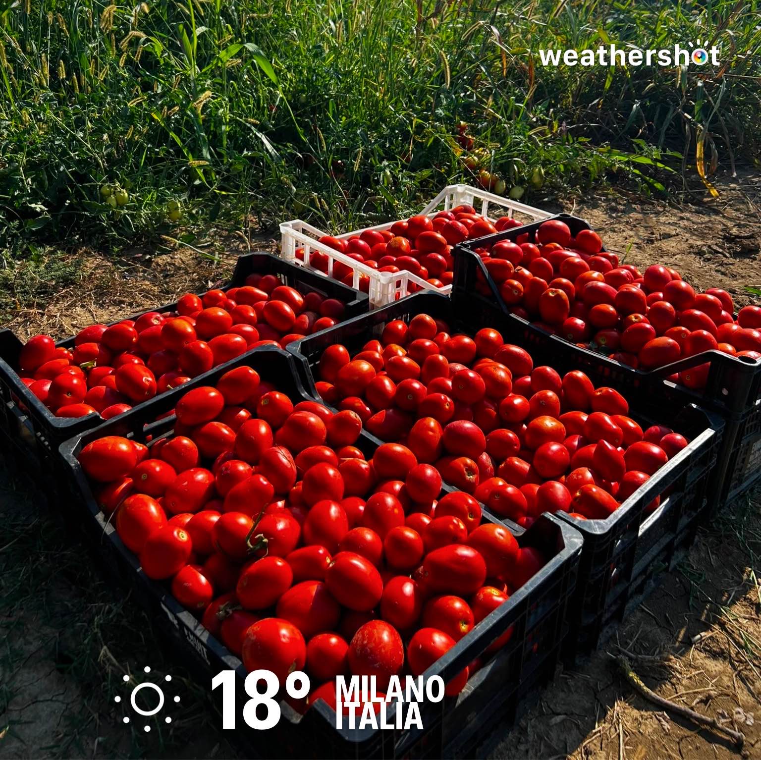 Cloudy weather in Milano, 18°C — October 2, 2026 (community photo)