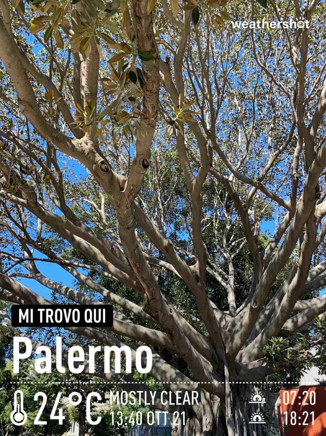 Weather in Palermo, 24°C — October 21, 2021 (community photo)