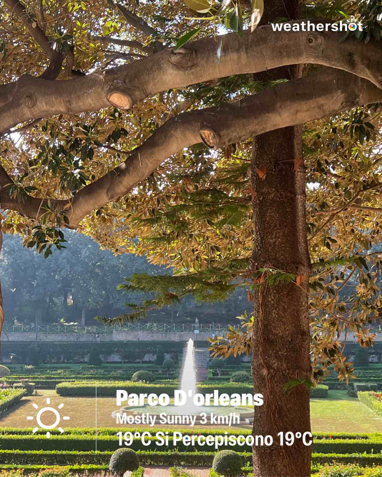 Clear weather in Palermo, 19°C — October 21, 2025 (community photo)
